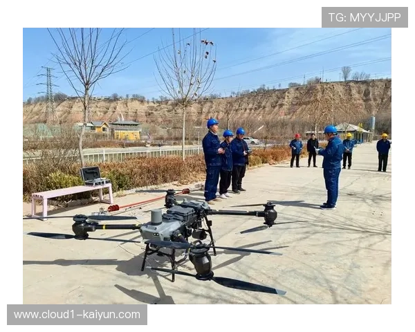 无人机巡检系统替代人工高空作业 确保了复杂钢结构的健康度实时监控 无人机巡检系统替代人工高空作业 确保了复杂钢结构的健康度实时监控